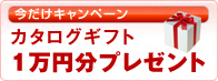 今だけキャンペーン