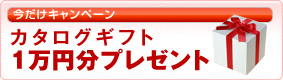 キャンペーン